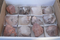 Natural Smokey Hematoid Quartz Crystals  x 12 From Madagascar