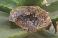 Natural Amethyst & Crystal Centred Geodes  x 12 From Zululand, South Africa - TopRock