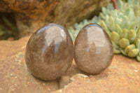 Polished Large Morion Smokey Quartz Eggs x 5 From Madagascar - TopRock