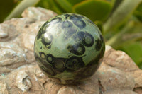 Polished Stromatolite / Kambaba Jasper Spheres x 3 From Madagascar - TopRock