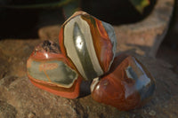 Polished One Side Polished Polychrome Jasper Nodules  x 12 From Madagascar - Toprock Gemstones and Minerals 