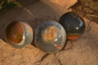 Polished  Polychrome / Picasso Jasper Spheres  x 3 From Madagascar