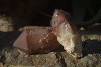 Natural Red Hematoid Quartz Specimens x 12 From Karoi, Zimbabwe