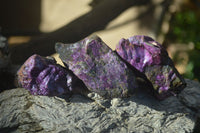 Natural Purple Stichtite Cobbed Specimens  x 12 From Barberton, South Africa - Toprock Gemstones and Minerals 