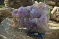 Natural Jacaranda Amethyst Cluster x 1 From Mumbwa, Zambia - TopRock