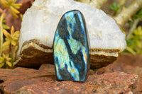 Polished Labradorite Standing Free Forms With Intense Blue & Gold Flash x 3 From Tulear, Madagascar - TopRock