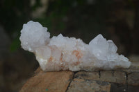 Natural White Spirit Cactus Quartz Clusters  x 2 From Boekenhouthoek, South Africa - Toprock Gemstones and Minerals 