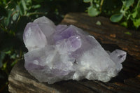 Natural Jacaranda Amethyst Clusters  x 3 From Mumbwa, Zambia - Toprock Gemstones and Minerals 