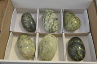 Polished Leopard Stone Free Forms  x 6 From Zimbabwe