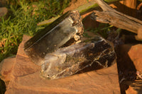 Polished  Large Morion Smokey Quartz Crystals  x 2 From Zimbabwe