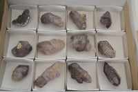 Natural Large Smokey Amethyst / Window Amethyst Crystals  x 12 From Chiredzi, Zimbabwe - Toprock Gemstones and Minerals 