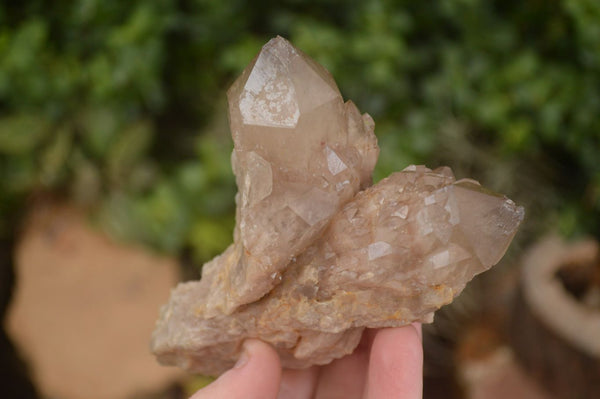 Natural Cascading Smokey Quartz Clusters x 3 From Luena, Congo