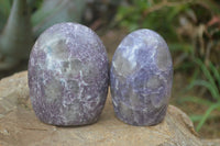 Polished Purple Lepidolite Standing Free Forms  x 6 From Madagascar