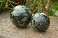 Polished Stromatolite / Kambaba Jasper Spheres x 3 From Madagascar - TopRock