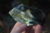 Polished One Side Polished Labradorite Slices  x 12 From Madagascar