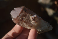 Natural Red Hematoid Quartz Specimens x 12 From Karoi, Zimbabwe