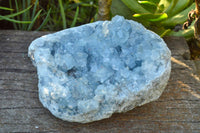 Natural Blue Celestite Cluster With Large Cubic Crystals x 1 From Sakoany, Madagascar - TopRock