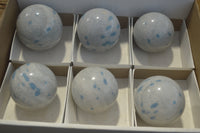 Polished Blue Spotted Spinel Quartz Spheres x 6 From Madagascar