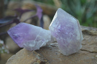 Natural Jacaranda Amethyst Single Crystal Specimens x 12 From Mumbwe, Zambia