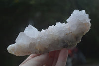 Natural White Spirit Cactus Quartz Clusters  x 2 From Boekenhouthoek, South Africa - Toprock Gemstones and Minerals 