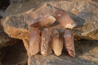 Natural Red Hematoid Quartz Specimens x 24 From Karoi, Zimbabwe