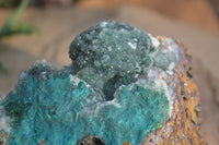 Natural Drusy Coated Ball Malachite On Dolomite Specimens  x 2 From Likasi, Congo