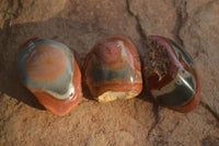 Polished One Side Polished Polychrome Jasper Nodules  x 12 From Madagascar - Toprock Gemstones and Minerals 