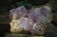 Natural Jacaranda Amethyst Cluster x 1 From Mumbwa, Zambia - TopRock