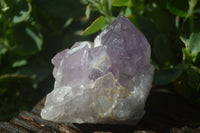 Natural Jacaranda Amethyst Clusters  x 3 From Mumbwa, Zambia - Toprock Gemstones and Minerals 