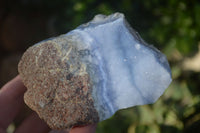 Natural Blue Lace Agate Geode Specimens  x 9 From Nsanje, Malawi - Toprock Gemstones and Minerals 