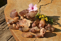 Natural Red Hematoid Phantom Quartz Crystals  x 35 From Karoi, Zimbabwe - TopRock