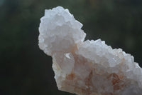 Natural White Spirit Cactus Quartz Clusters  x 2 From Boekenhouthoek, South Africa - Toprock Gemstones and Minerals 