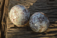 Polished Rubellite Pink Tourmaline Matrix Spheres x 2 From Madagascar