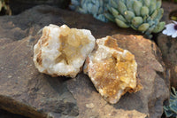 Natural Golden Limonite / Lemonite Quartz Clusters  x 12 From Solwezi, Zambia - TopRock