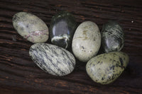 Polished Leopard Stone Free Forms  x 6 From Zimbabwe