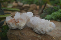 Natural White Spirit Cactus Quartz Clusters  x 6 From Boekenhouthoek, South Africa - Toprock Gemstones and Minerals 