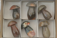 Polished Polychrome / Picasso Jasper Mushrooms  x 6 From Madagascar - TopRock