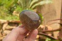 Polished Large Morion Smokey Quartz Eggs x 5 From Madagascar - TopRock