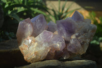 Natural Jacaranda Amethyst Cluster x 1 From Mumbwa, Zambia - TopRock