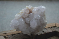 Natural White Spirit Cactus Quartz Clusters  x 2 From Boekenhouthoek, South Africa - Toprock Gemstones and Minerals 