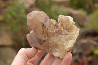 Natural Red Hematoid Phantom Quartz Crystals  x 4 From Karoi, Zimbabwe - TopRock