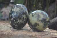 Polished Leopard Stone Eggs & Spheres  x 4 From Zimbabwe - TopRock