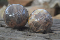 Polished  Chatoyant Black Moonstone Spheres  x 6 From Madagascar