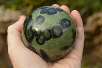 Polished Stromatolite / Kambaba Jasper Spheres x 3 From Madagascar - TopRock