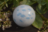 Polished Blue Spotted Spinel Quartz Spheres x 6 From Madagascar