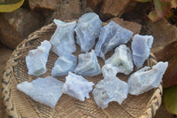 Natural Etched Blue Chalcedony Specimens  x 12 From Nsanje, Malawi