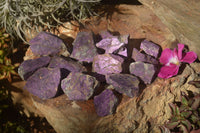 Natural Selected Purpurite Cobbed Specimens  x 14 From Namibia - TopRock