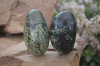 Polished Leopard Stone Free Forms  x 6 From Zimbabwe