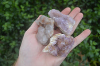 Natural Small Mixed Spirit Quartz Clusters  x 24 From Boekenhouthoek, South Africa - Toprock Gemstones and Minerals 