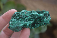 Natural Chatoyant Silky Malachite Specimens  x 12 From Kasompe, Congo - Toprock Gemstones and Minerals 